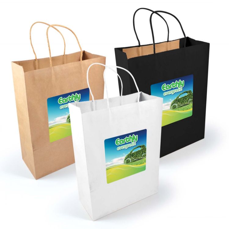 Picture of Express Paper Bag Large