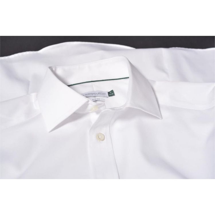 Picture of Green Bow 01 Men's Shirt